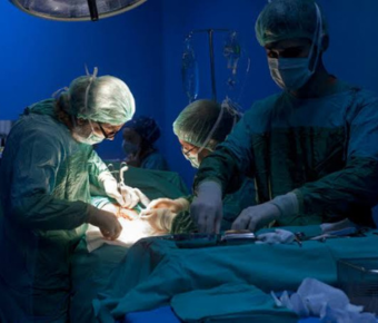 Doctor discussing comprehensive gynaecology care