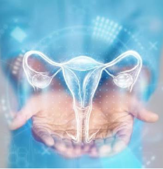 Infertility treatment consultation with an obstetrician